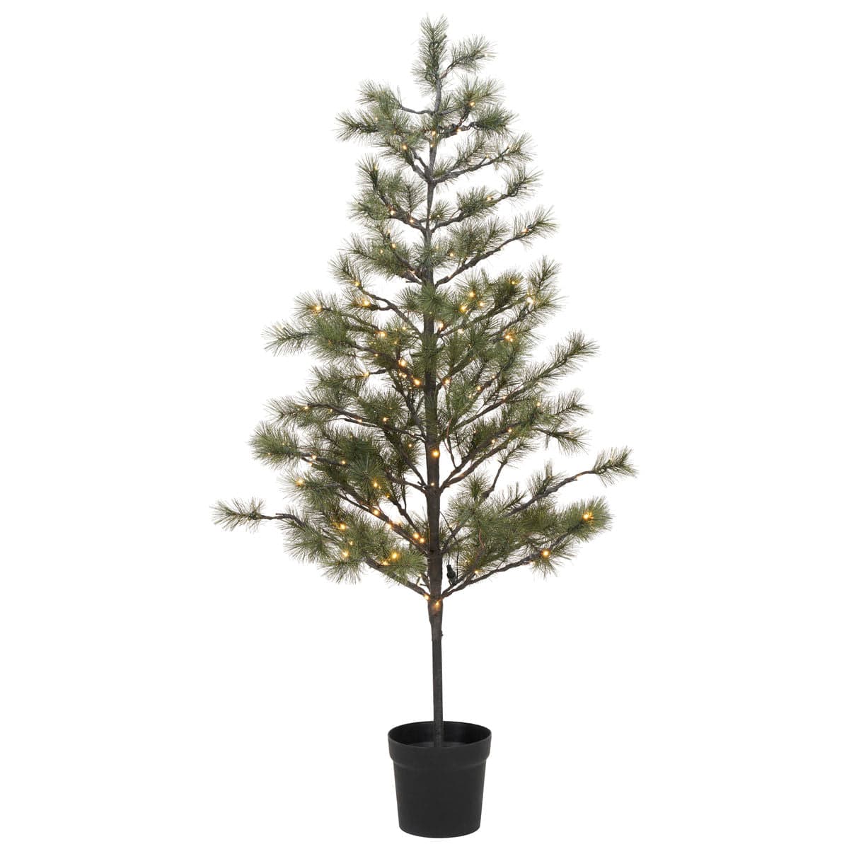 Zoco Home Decor / Árbol de Zoco Home «Peuce» | 180 cm
