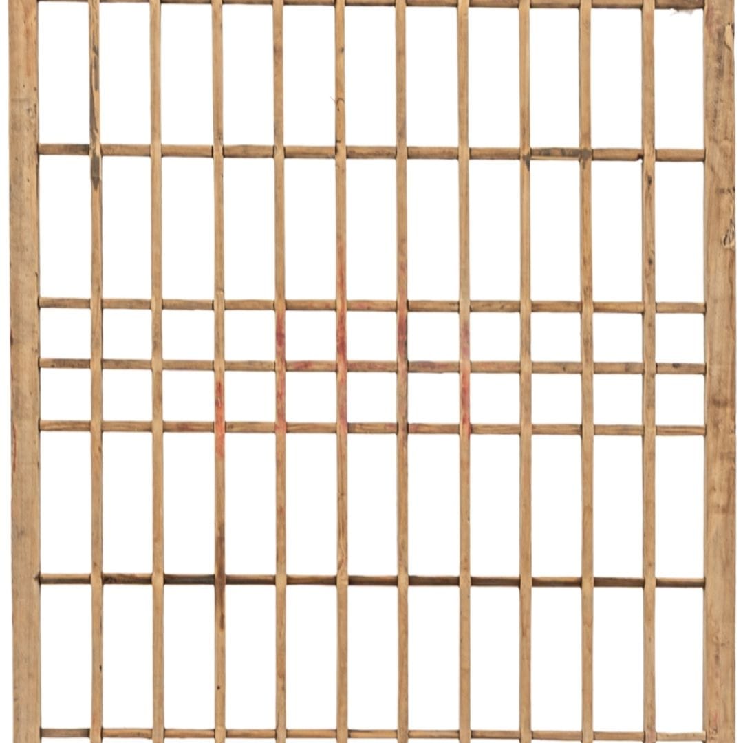 Zoco Home Wandverkleidung aus Shandong-Zedernholz | Z42