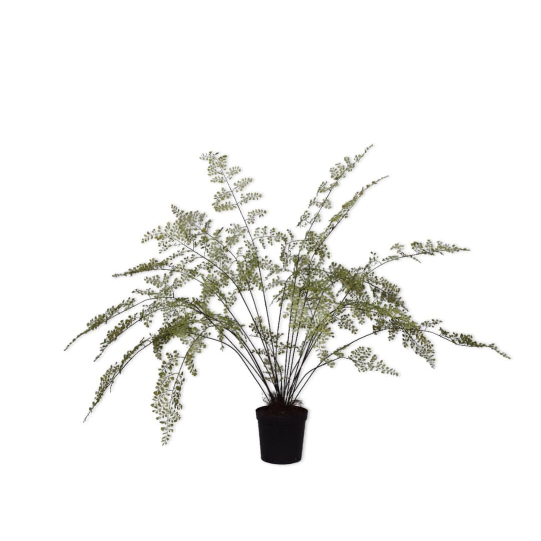 Zoco Home Palm | 123cm