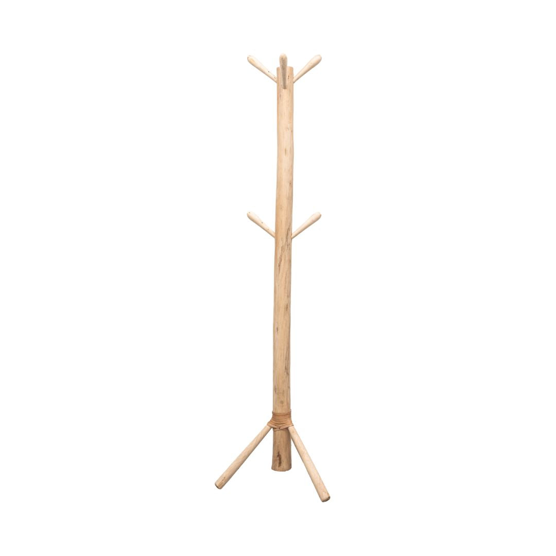 Eucalyptus Tripod | 180cm