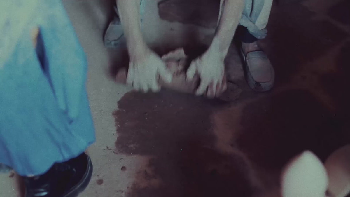Video laden: 