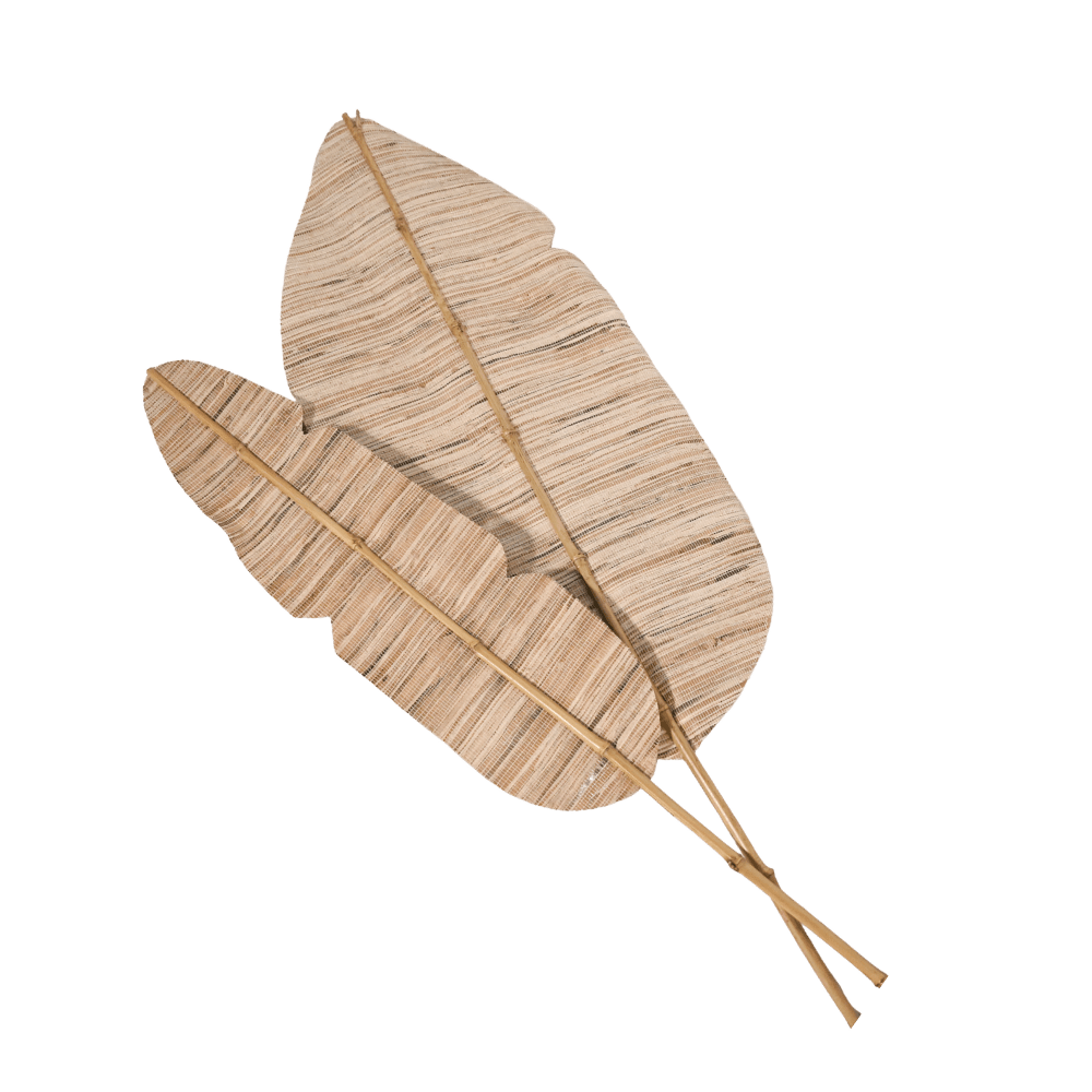 Zoco Home Home Accessories Banana Leaf | 17x200cm