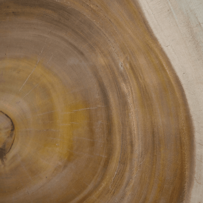 Zoco Home Furniture/Table Bulat coffee table | 60cm