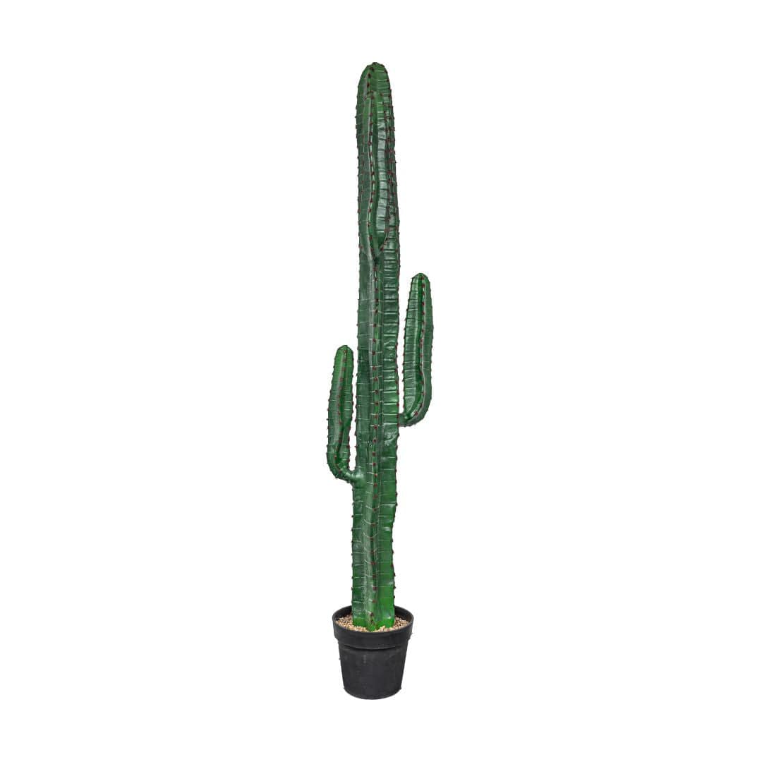 Zoco Home Artificial Flora Cactus | Interior Decor Plant | 150 cm