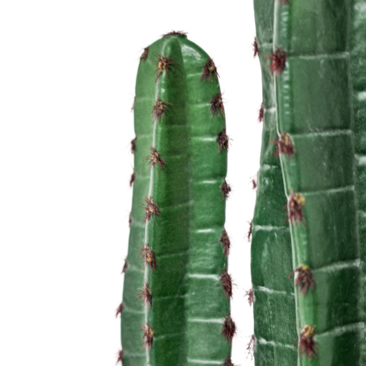 Zoco Home Artificial Flora Cactus | Interior Decor Plant | 150 cm