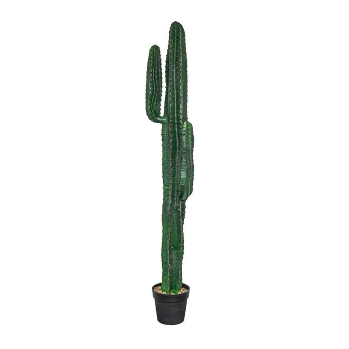 Zoco Home Artificial Flora Cactus | Interior Decor Plant | 150 cm