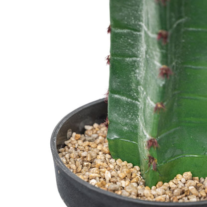 Zoco Home Decor/Accessories Cactus | Interior Decor Plant | 150 cm