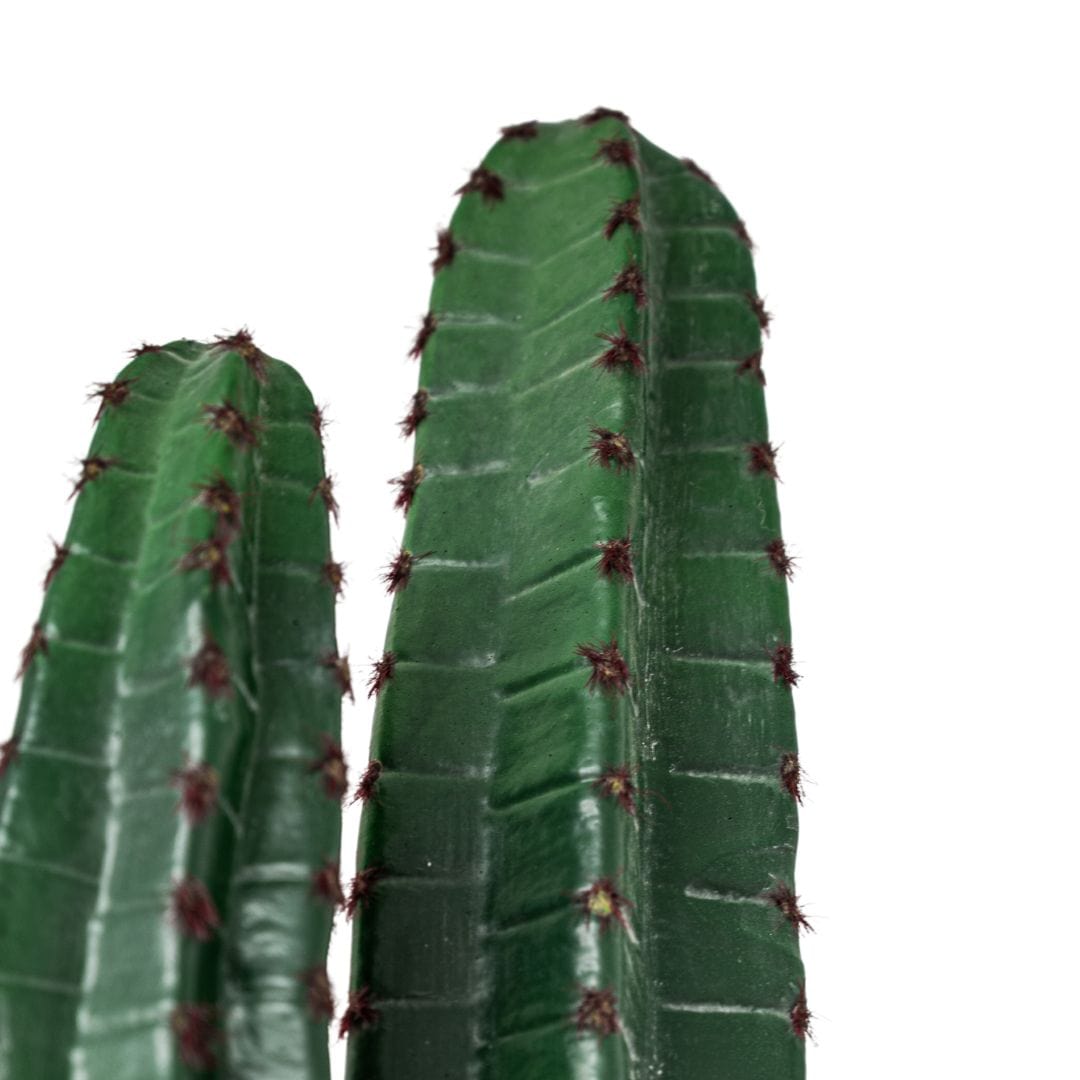 Zoco Home Decor/Accessories Cactus | Interior Decor Plant | 150 cm