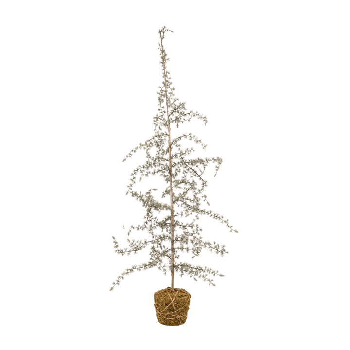 Zoco Home Christmas Tree