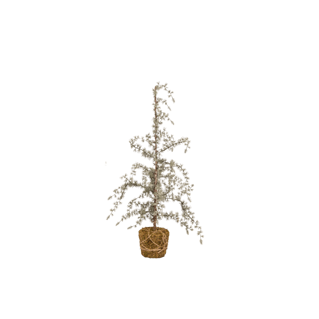 Zoco Home Decor/Christmas Christmas Tree