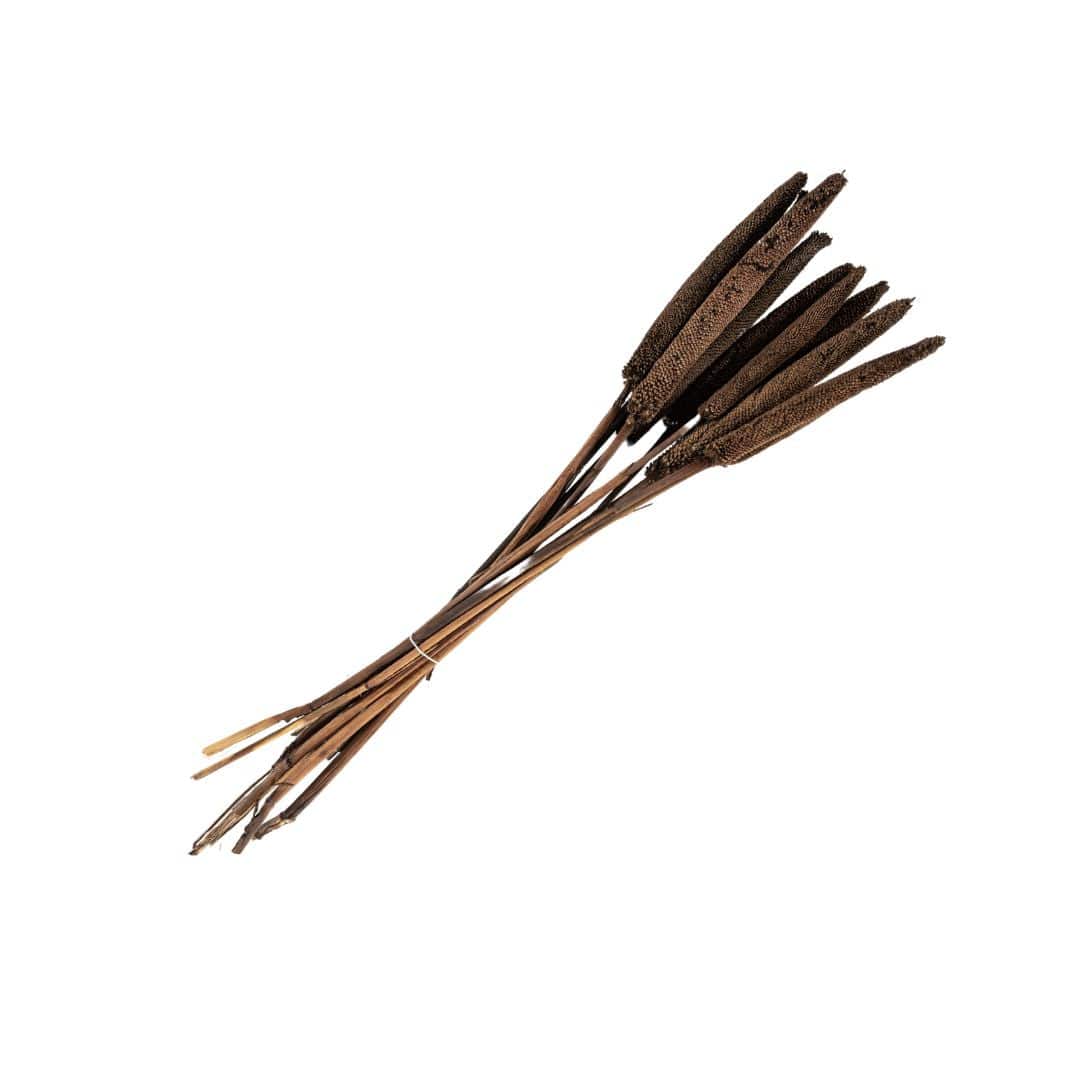 Zoco Home Home accessories Dried Flowers | Babala Branch | Brown