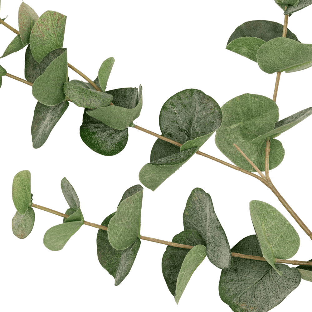 Zoco Home Artificial Flora Eucalyptus Branch | 100cm