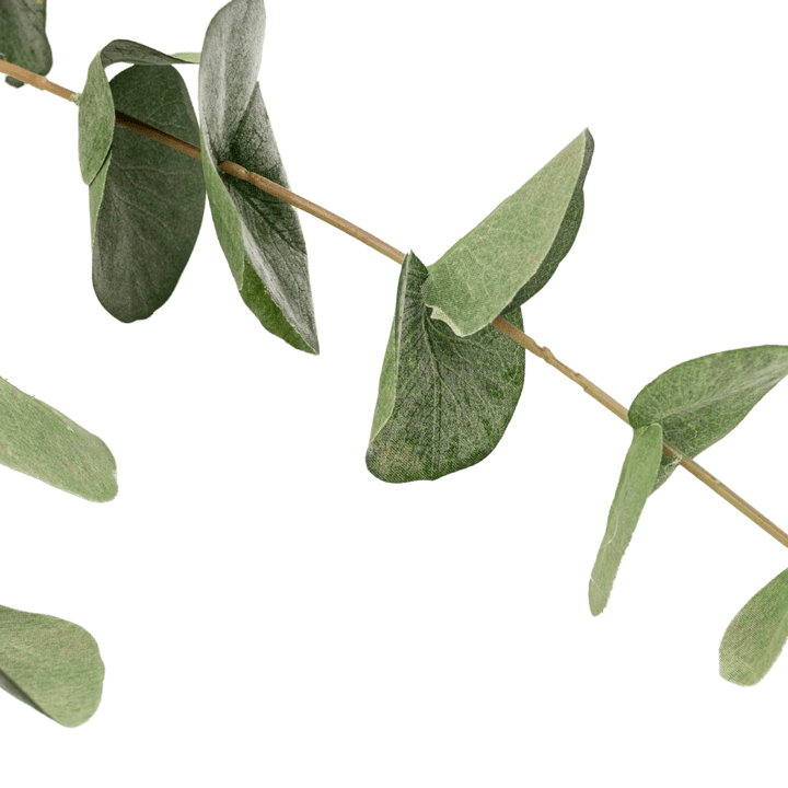 Zoco Home Artificial Flora Eucalyptus Branch | 100cm