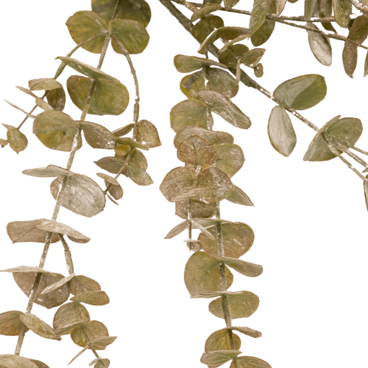 Zoco Home Artificial Flora Eucalyptus Branch | 111cm