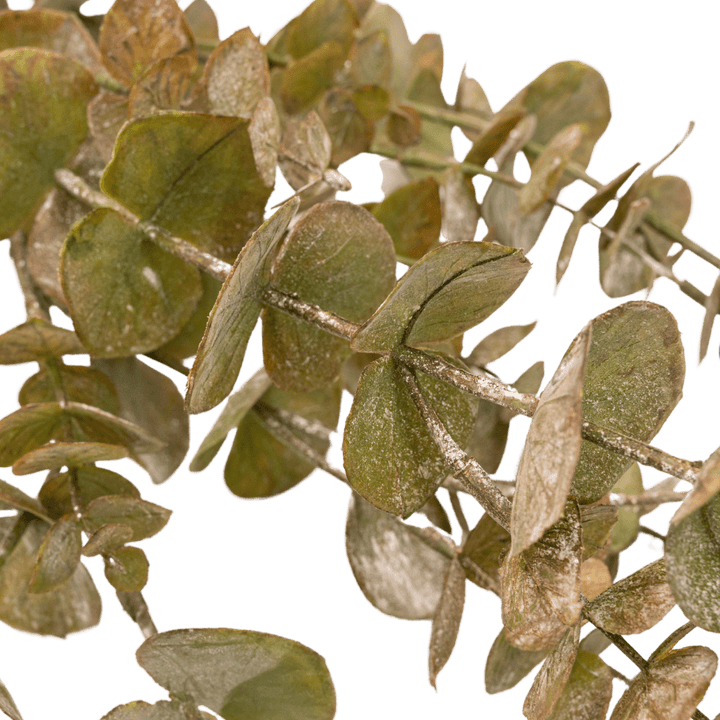 Zoco Home Artificial Flora Eucalyptus Branch | 111cm