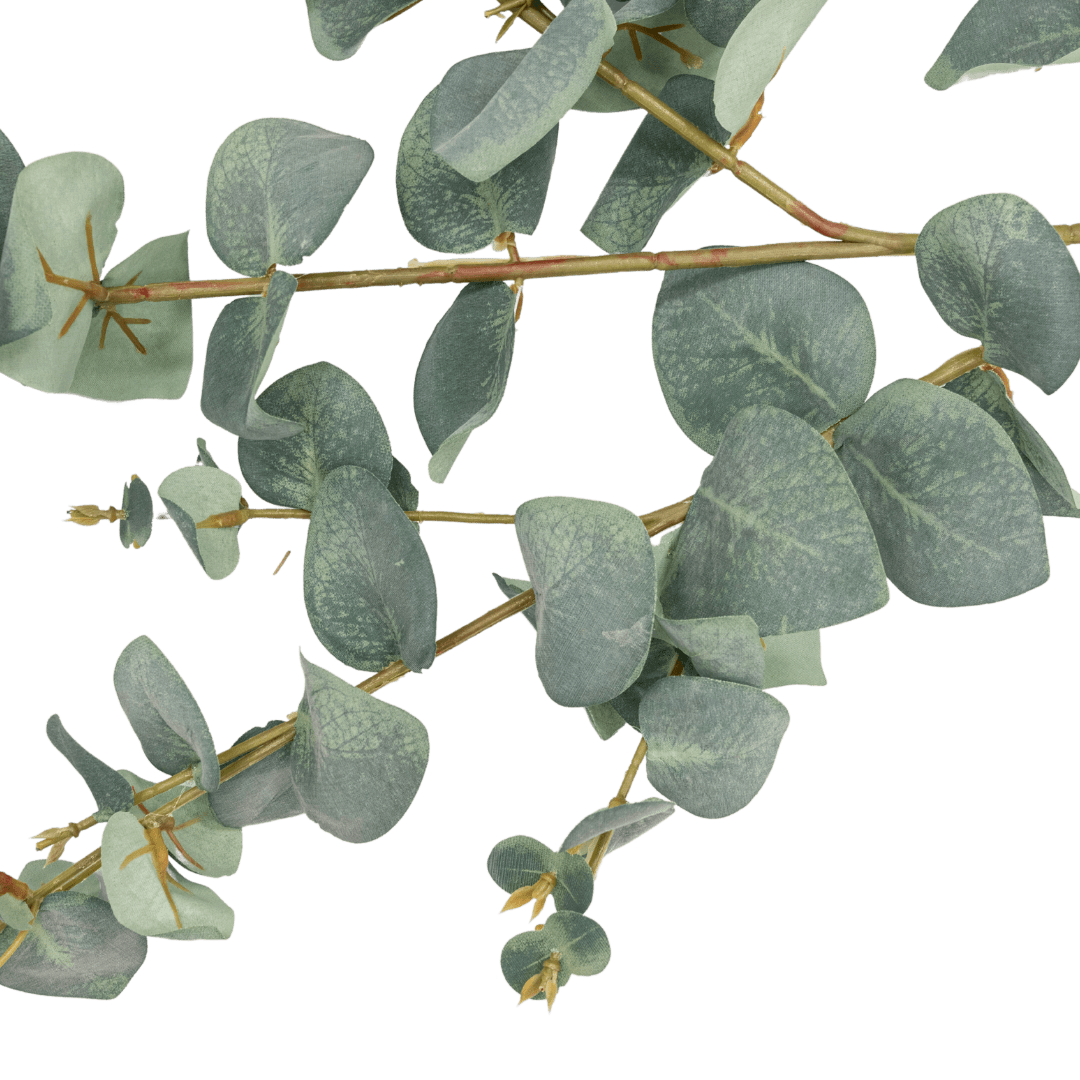 Zoco Home Artificial Flora Eucalyptus Branch | 115cm