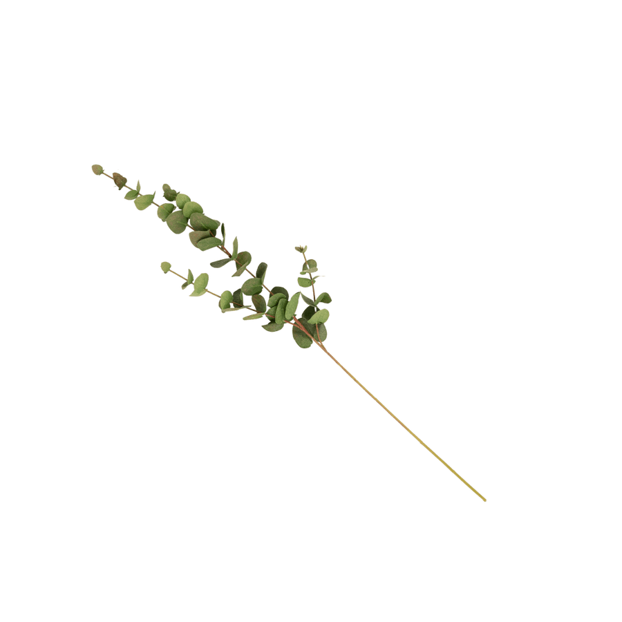 Zoco Home Artificial Flora Eucalyptus Branch | 80cm