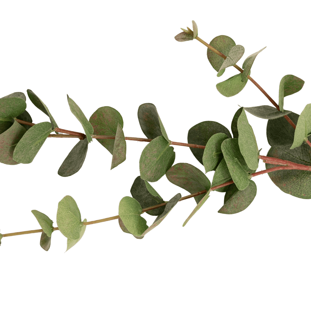 Zoco Home Artificial Flora Eucalyptus Branch | 80cm