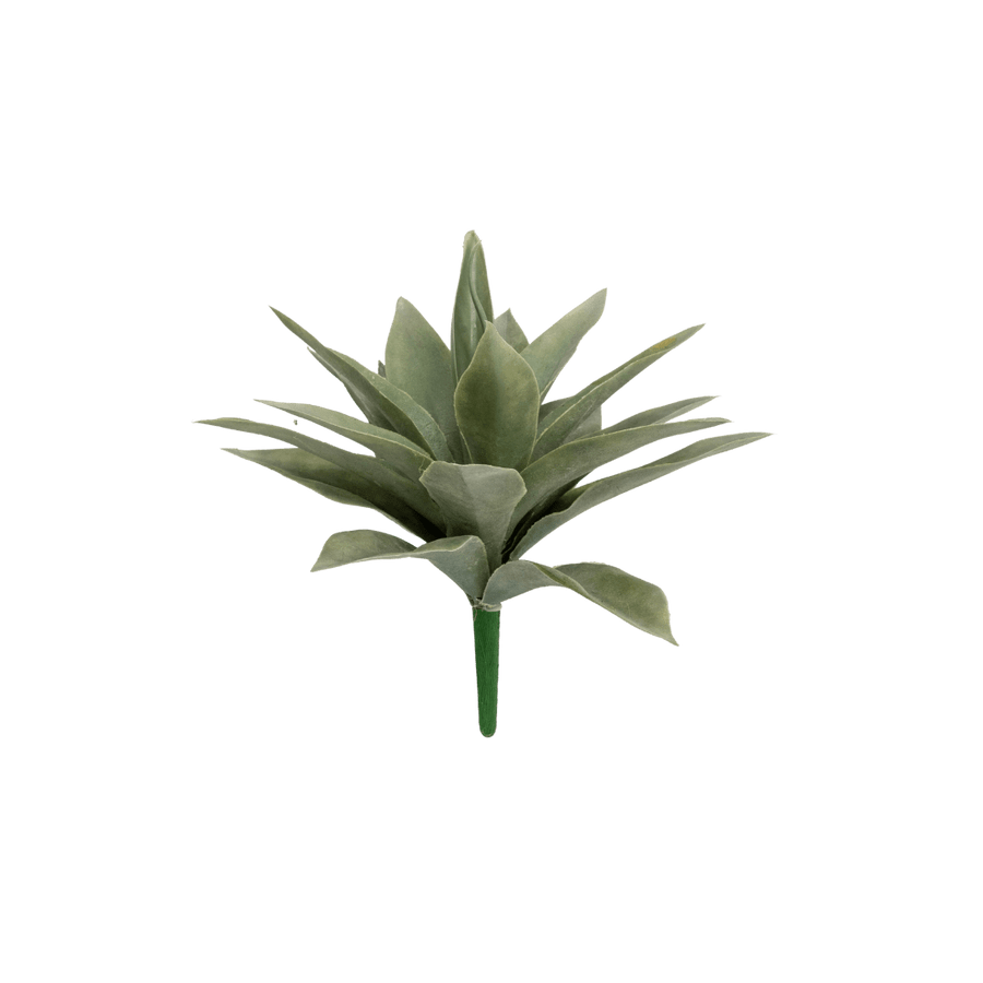 Zoco Home Interior Decor Plant | Agave 26x19cm