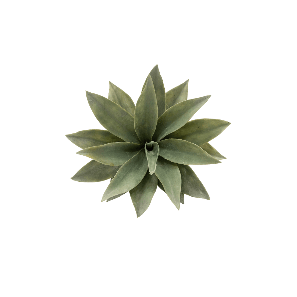 Zoco Home Interior Decor Plant | Agave 26x19cm