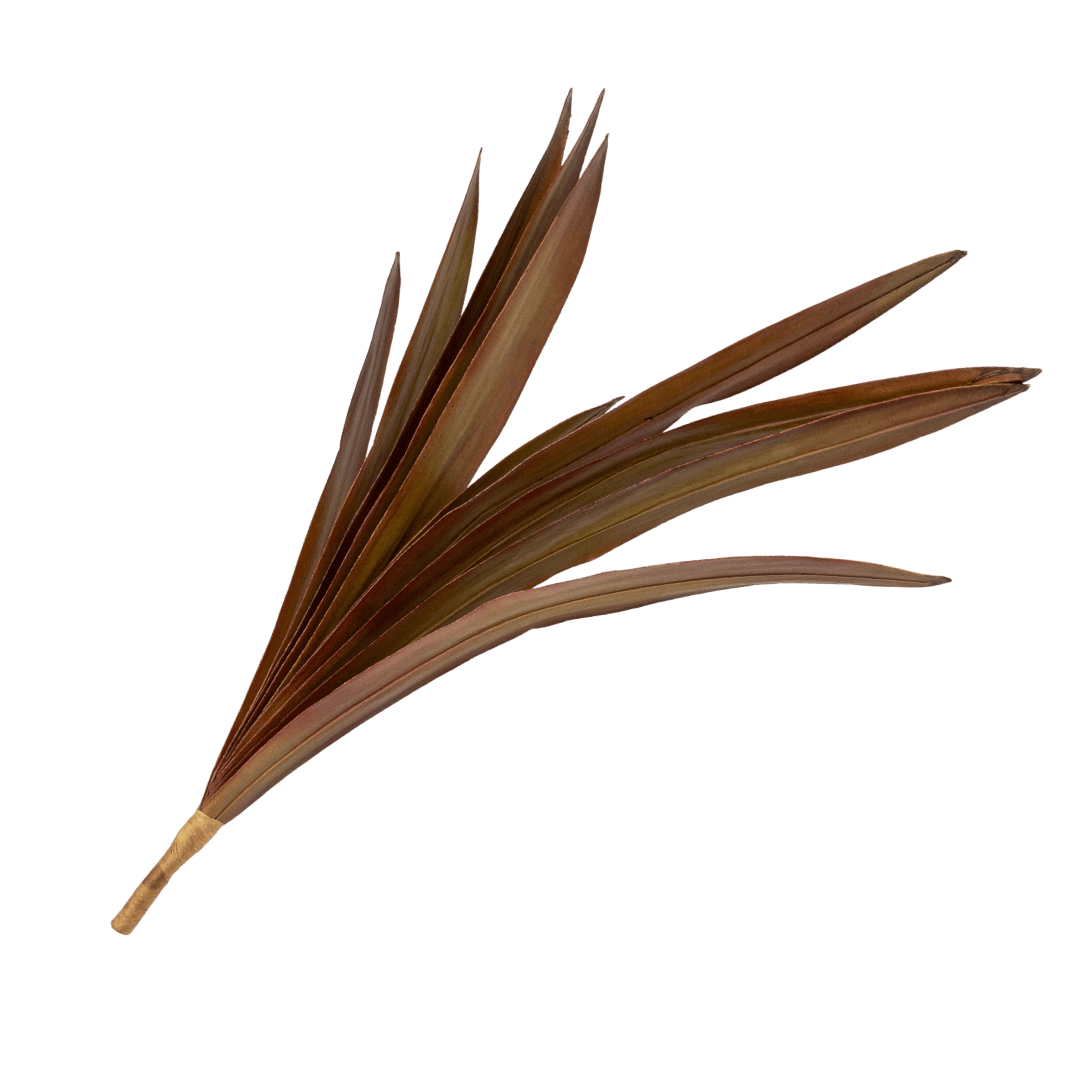 Zoco Home Interior Decor Plant | Amaryllis Leaf 70cm