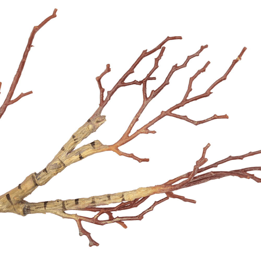 Zoco Home Interior Decor Plant | Birch Branch 90cm