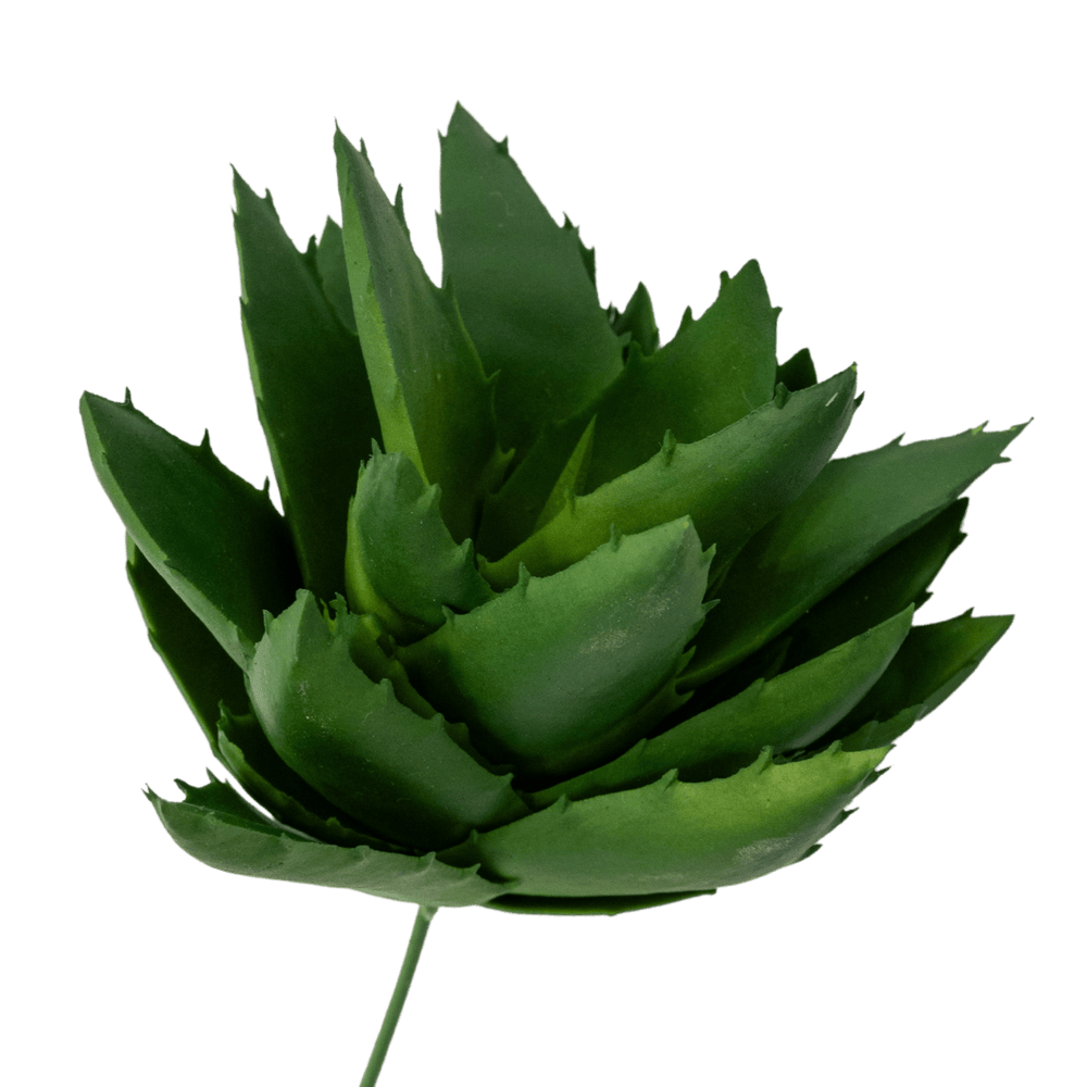 Zoco Home Interior Decor Plant | Succulent 12x10cm