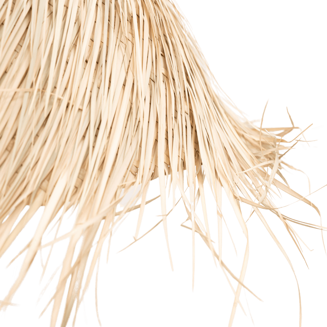 Zoco Home Decor/Lighting Marrakech Palm Pendant Lamp | L