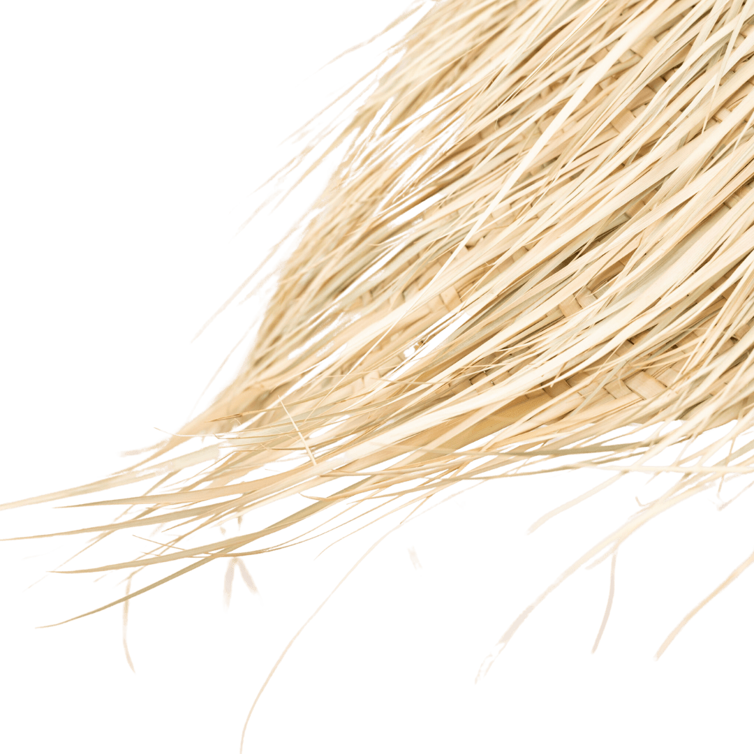 Zoco Home Decor/Lighting Marrakech Palm Pendant Lamp | M