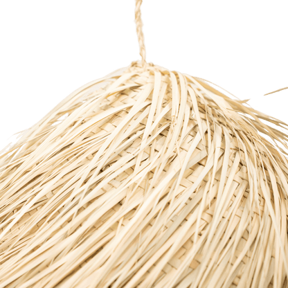 Zoco Home Decor/Lighting Marrakech Palm Pendant Lamp | M