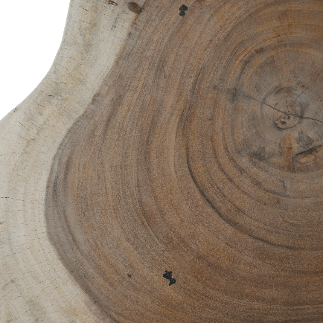 Zoco Home Furniture/Table/Coffee Nature Coffee table | 100cm