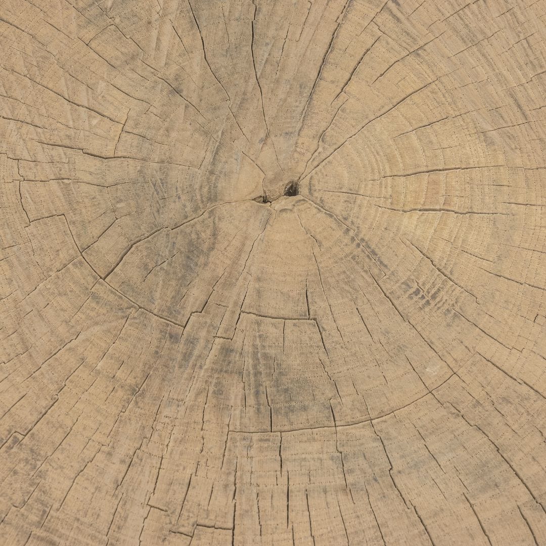 Zoco Home Furniture/Table/Coffee Table/LE Olia Coffee Table
