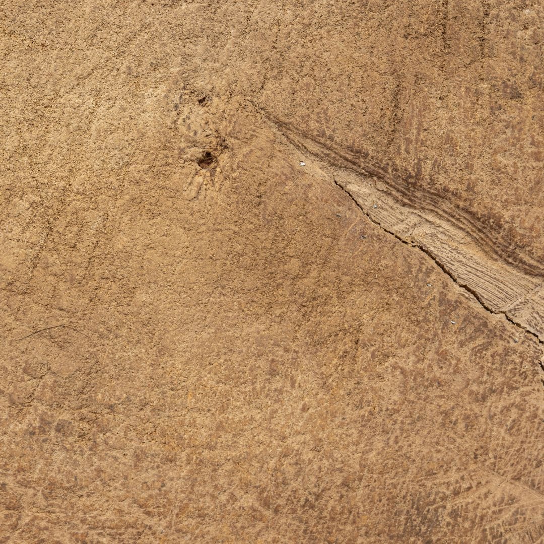 Zoco Home Furniture/Table/Coffee Table/LE Olia Coffee Table | Z10