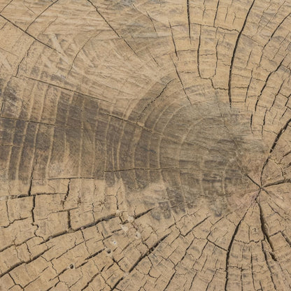 Zoco Home Furniture/Table/Coffee Table/LE Olia Coffee Table | Z11