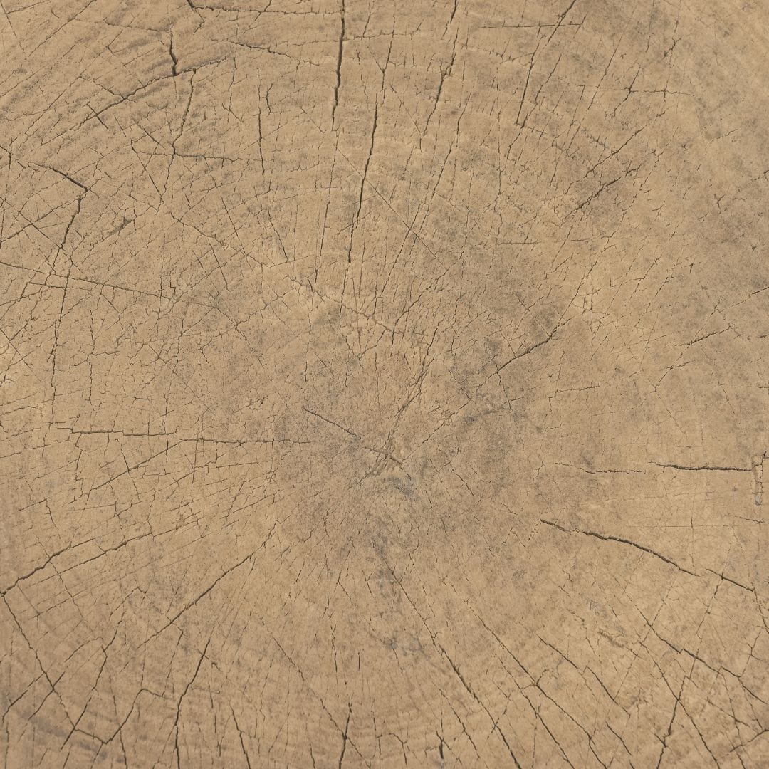 Zoco Home Furniture/Table/Coffee Table/LE Olia Coffee Table | Z13