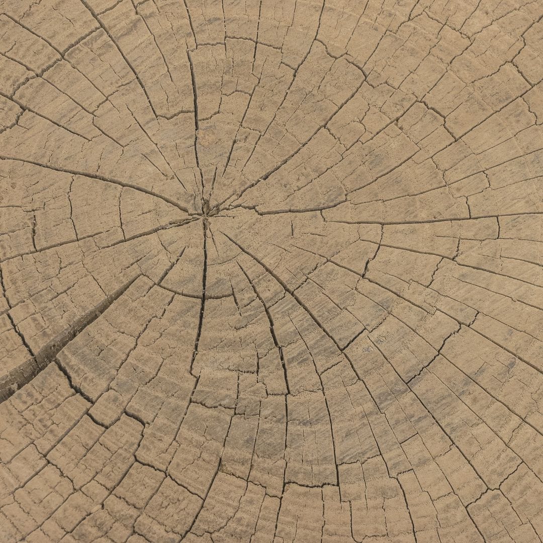 Zoco Home Furniture/Table/Coffee Table/LE Olia Coffee Table | Z16