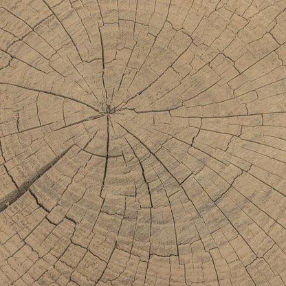 Zoco Home Furniture/Table/Coffee Table/LE Olia Coffee Table | Z16