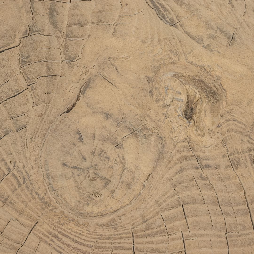 Zoco Home Furniture/Table/Coffee Table/LE Olia Coffee Table | Z17