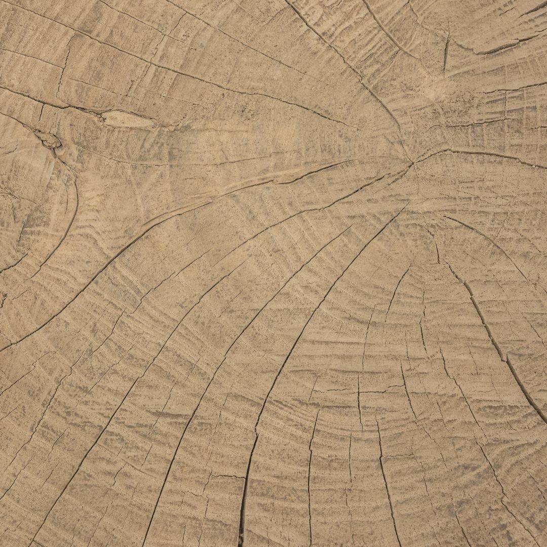 Zoco Home Furniture/Table/Coffee Table/LE Olia Coffee Table | Z19