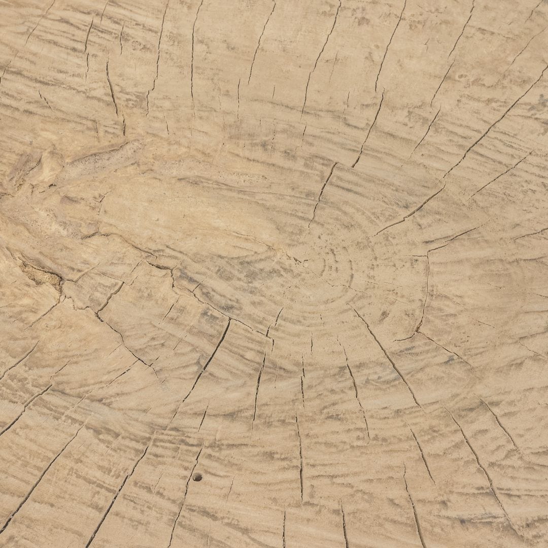 Zoco Home Furniture/Table/Coffee Table/LE Olia Coffee Table | Z23