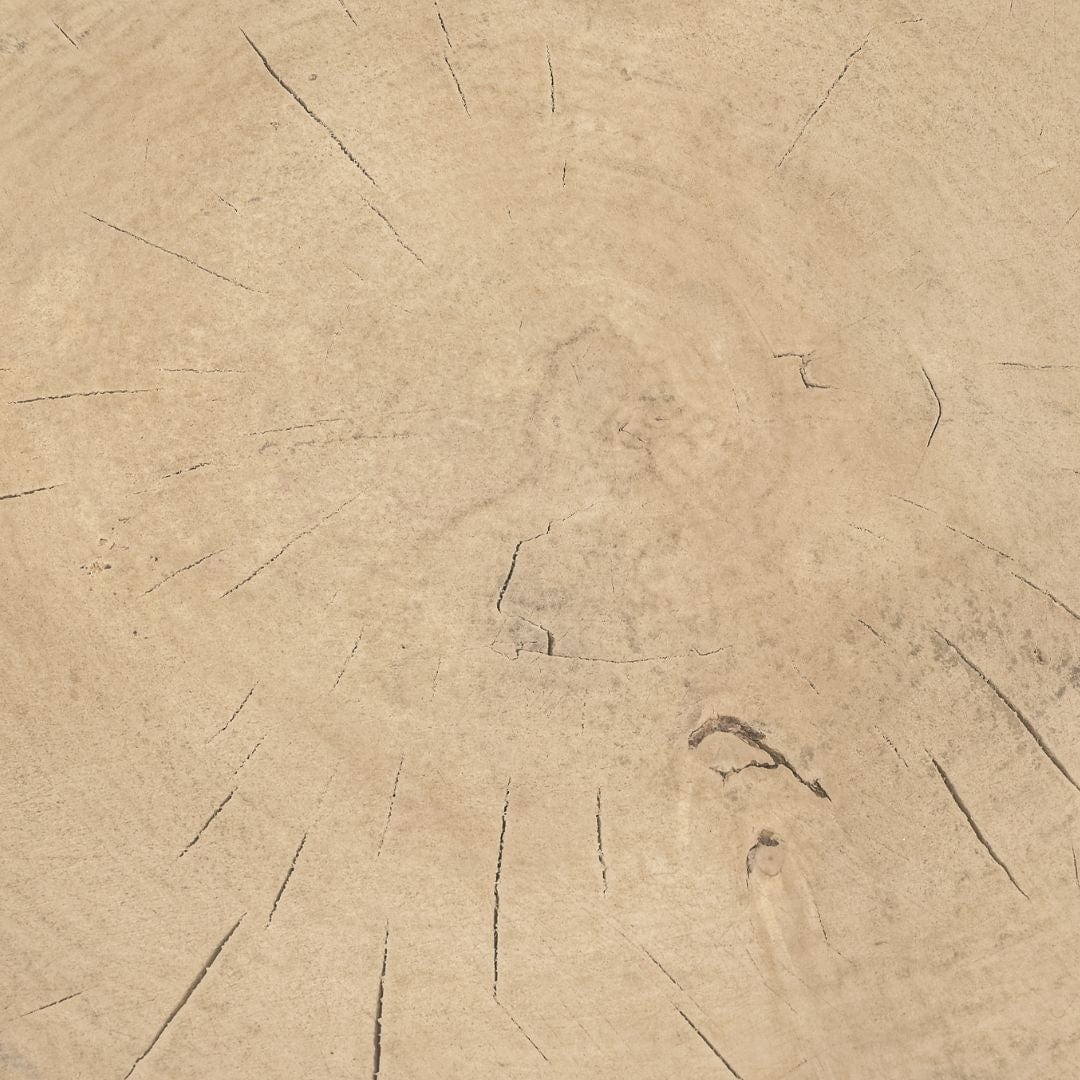 Zoco Home Furniture/Table/Coffee Table/LE Olia Coffee Table | Z24