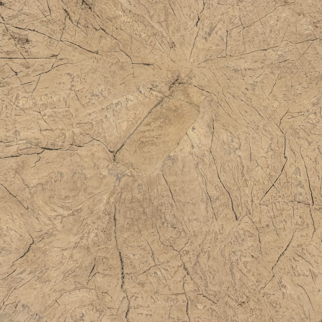 Zoco Home Furniture/Table/Coffee Table/LE Olia Coffee Table | Z25