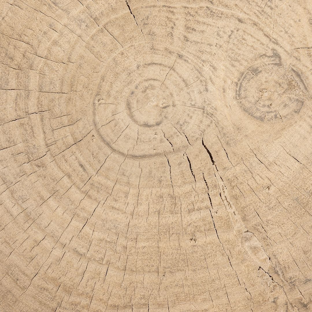 Zoco Home Furniture/Table/Coffee Table/LE Olia Coffee Table | Z39