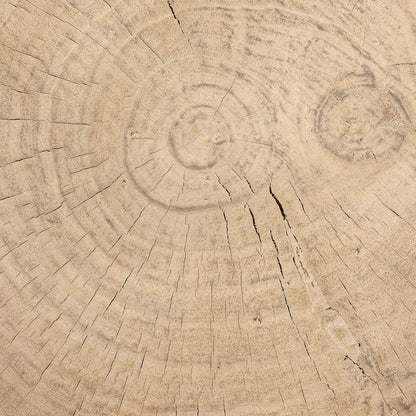 Zoco Home Furniture/Table/Coffee Table/LE Olia Coffee Table | Z39