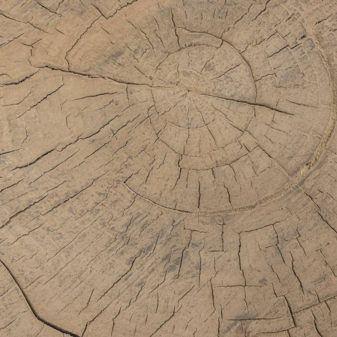 Zoco Home Furniture/Table/Coffee Table/LE Olia Coffee Table | Z5