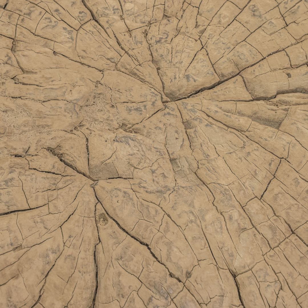 Zoco Home Furniture/Table/Coffee Table/LE Olia Coffee Table | Z6