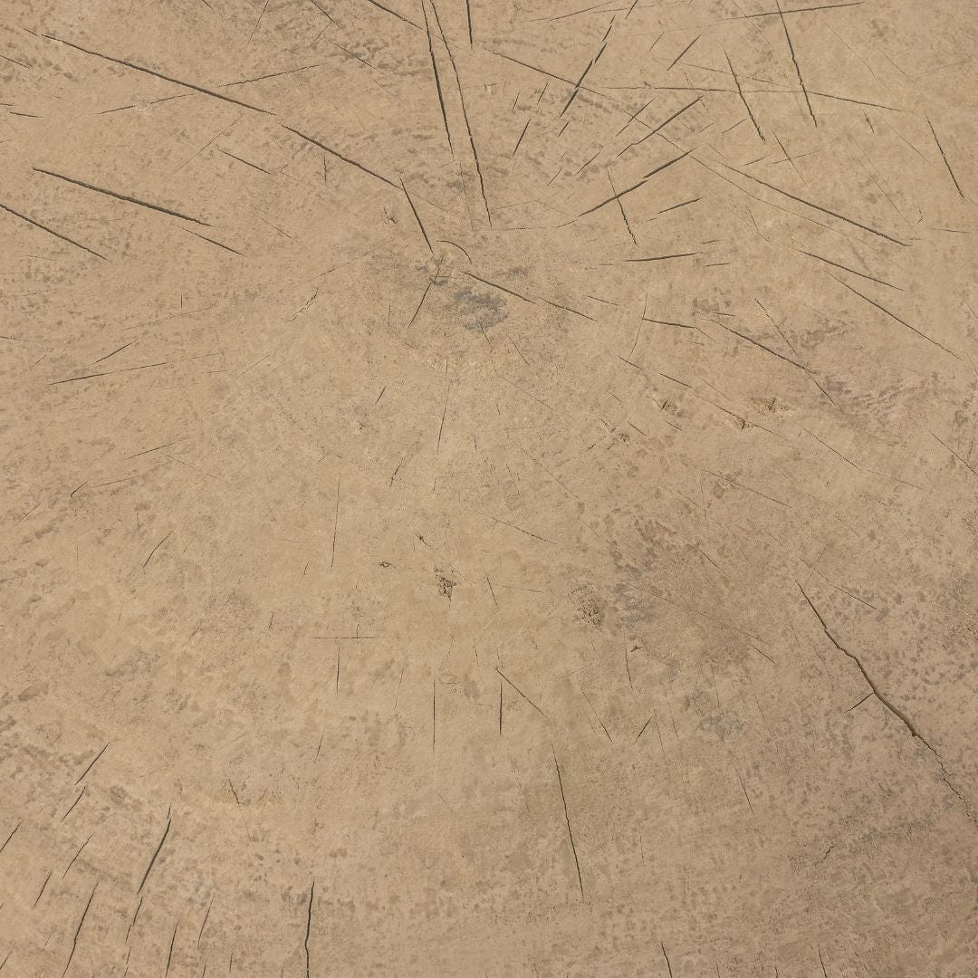 Zoco Home Furniture/Table/Coffee Table/LE Olia Coffee Table | Z8