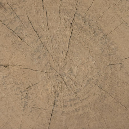 Zoco Home Furniture/Table/Coffee Table/LE Olia Coffee Table | Z9