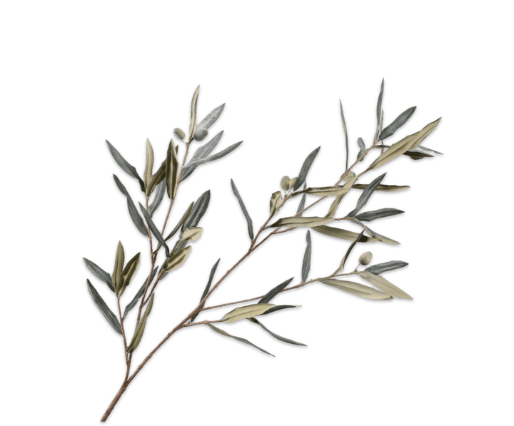 Zoco Home Artificial Flora Olive Branch| 94cm