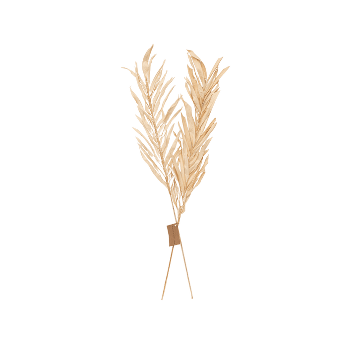 Zoco Home Palm Leaf | Set of 2 | Natural 90cm